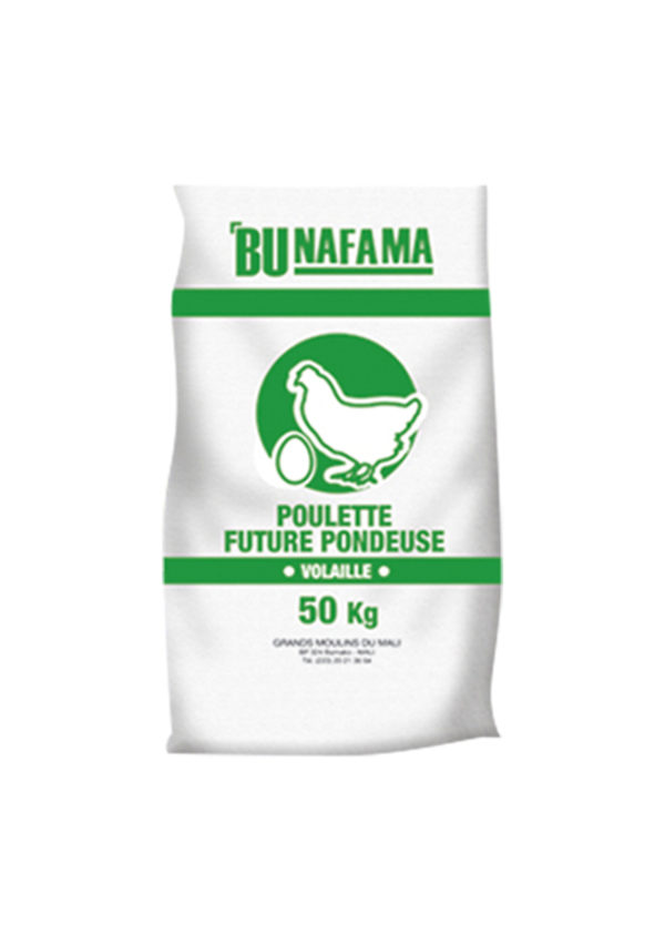 Bu NAFAMA Poulette Future Pondeuse